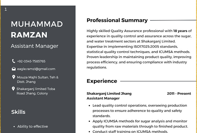write a professional resume and custom cover letter